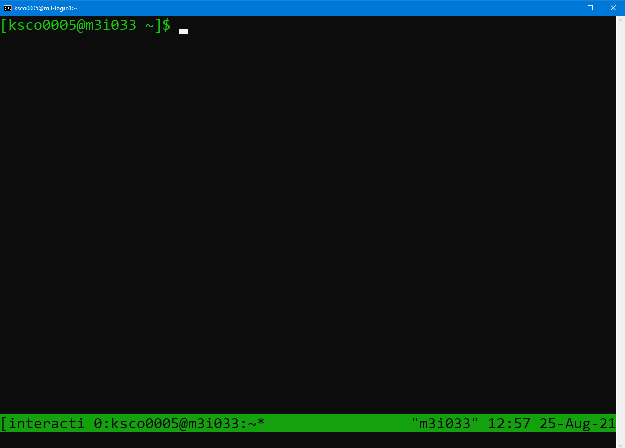 Screenshot of a terminal after connection to an smux session