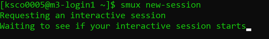 Screenshot of a terminal after running smux new-session