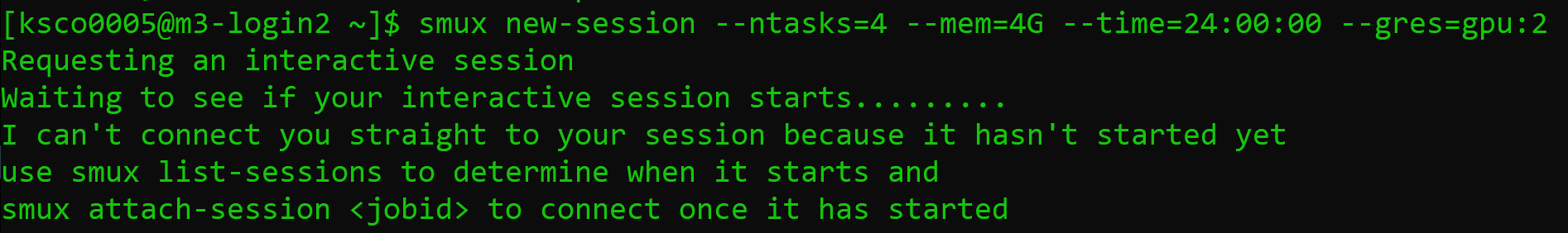 Screenshot of a terminal after requesting 2 GPUs with smux, demonstrating what waiting for an smux session looks like.