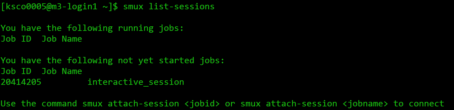Screenshot of a terminal with output from smux list sessions